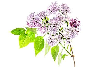 《地平线：西之绝境》销量超过了840万套